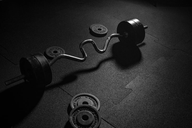 Fitness Dumbbell and Barbell Weights
